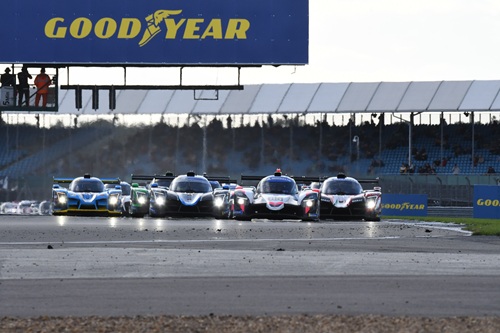 Race start (Photo by Melissa Warren)