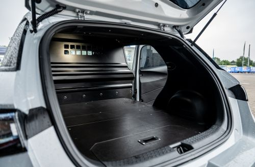 BYD DOLPHIN Cargo e-Van