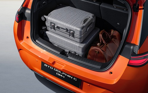 BYD DOLPHIN G DM-i BYD DOLPHIN G DM-i