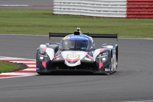 #85 LMP3 pole By Melissa Warren