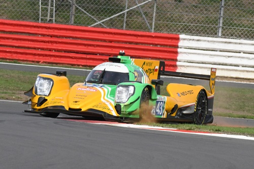 #43 LMP2 pole - By Melissa Warren